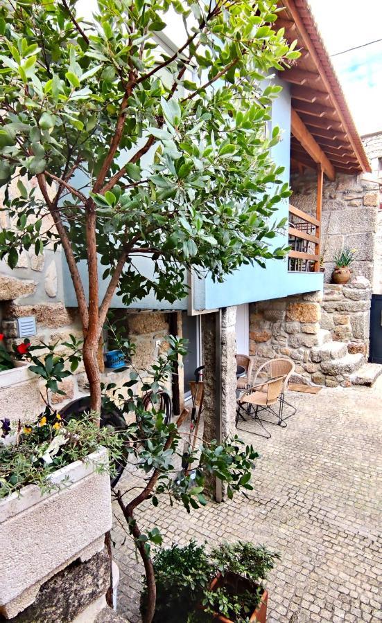 D 'avo - Sossego Do Campo - 5 Adultos Holiday home *